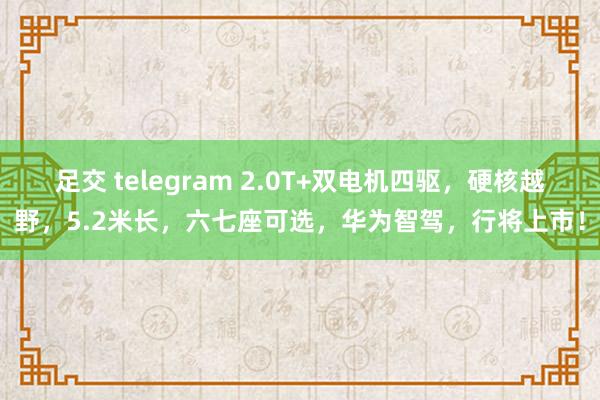足交 telegram 2.0T+双电机四驱，硬核越野，5.2米长，六七座可选，华为智驾，行将上市！