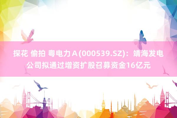 探花 偷拍 粤电力Ａ(000539.SZ)：靖海发电公司拟通过增资扩股召募资金16亿元
