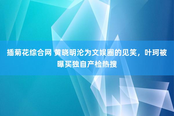 插菊花综合网 黄晓明沦为文娱圈的见笑，叶珂被曝买独自产检热搜