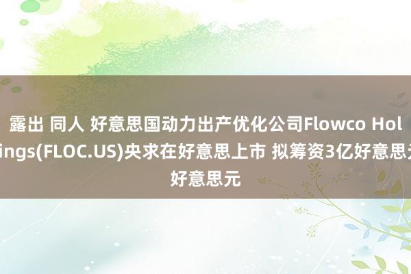 露出 同人 好意思国动力出产优化公司Flowco Holdings(FLOC.US)央求在好意思上市 拟筹资3亿好意思元