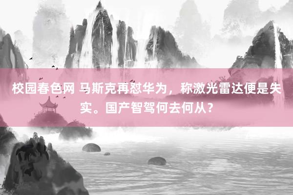 校园春色网 马斯克再怼华为，称激光雷达便是失实。国产智驾何去何从？