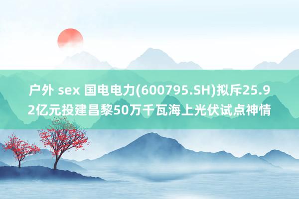 户外 sex 国电电力(600795.SH)拟斥25.92亿元投建昌黎50万千瓦海上光伏试点神情