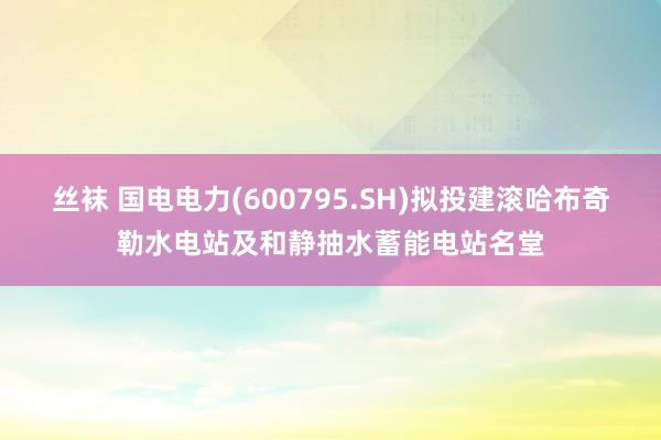 丝袜 国电电力(600795.SH)拟投建滚哈布奇勒水电站及和静抽水蓄能电站名堂