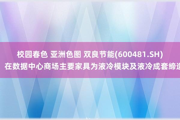 校园春色 亚洲色图 双良节能(600481.SH)：在数据中心商场主要家具为液冷模块及液冷成套缔造