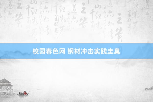 校园春色网 钢材冲击实践圭臬