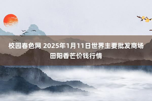 校园春色网 2025年1月11日世界主要批发商场田阳香芒价钱行情