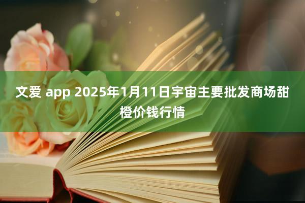 文爱 app 2025年1月11日宇宙主要批发商场甜橙价钱行情