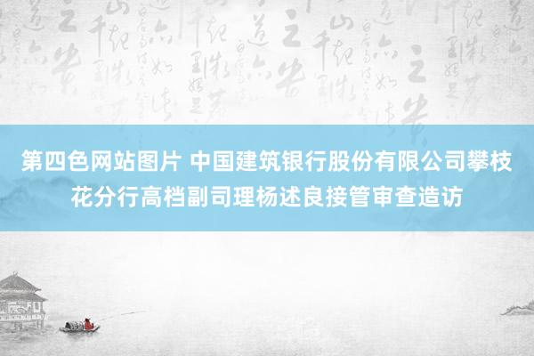 第四色网站图片 中国建筑银行股份有限公司攀枝花分行高档副司理杨述良接管审查造访