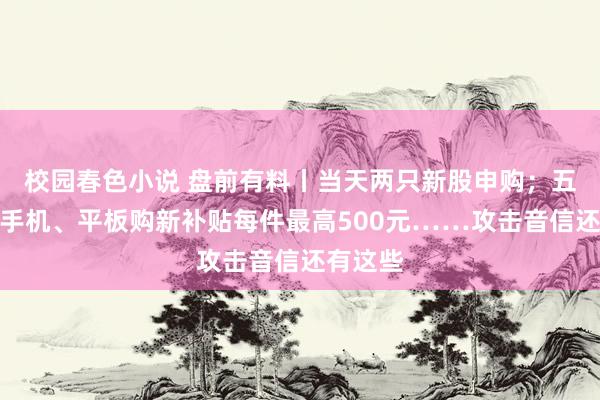 校园春色小说 盘前有料丨当天两只新股申购；五部门：手机、平板购新补贴每件最高500元……攻击音信还有这些
