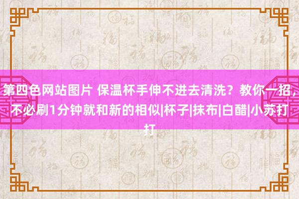 第四色网站图片 保温杯手伸不进去清洗？教你一招，不必刷1分钟就和新的相似|杯子|抹布|白醋|小苏打