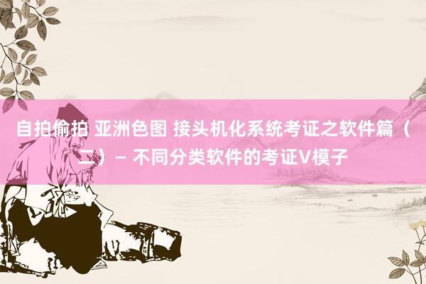 自拍偷拍 亚洲色图 接头机化系统考证之软件篇（二）— 不同分类软件的考证V模子