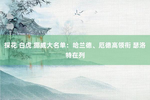探花 白虎 挪威大名单：哈兰德、厄德高领衔 瑟洛特在列