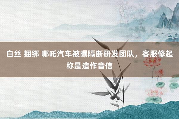 白丝 捆绑 哪吒汽车被曝隔断研发团队，客服修起称是造作音信
