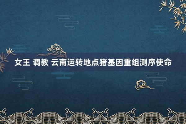 女王 调教 云南运转地点猪基因重组测序使命