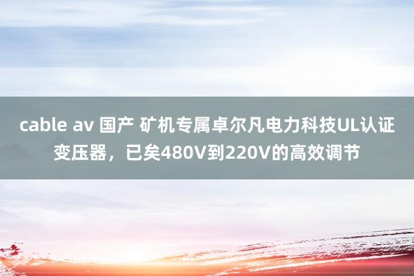 cable av 国产 矿机专属卓尔凡电力科技UL认证变压器，已矣480V到220V的高效调节