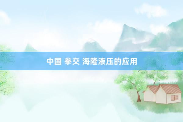 中国 拳交 海隆液压的应用
