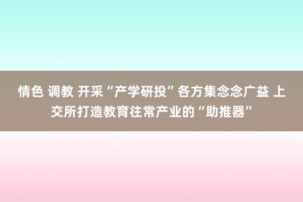 情色 调教 开采“产学研投”各方集念念广益 上交所打造教育往常产业的“助推器”