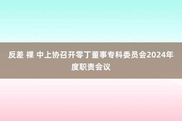 反差 裸 中上协召开零丁董事专科委员会2024年度职责会议