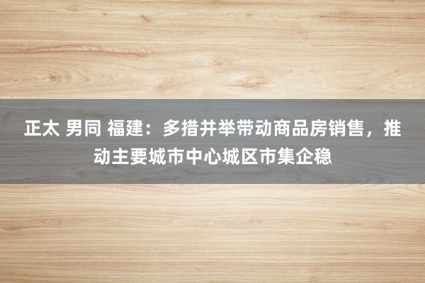 正太 男同 福建：多措并举带动商品房销售，推动主要城市中心城区市集企稳