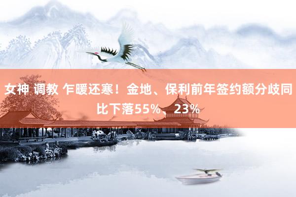 女神 调教 乍暖还寒！金地、保利前年签约额分歧同比下落55%、23%