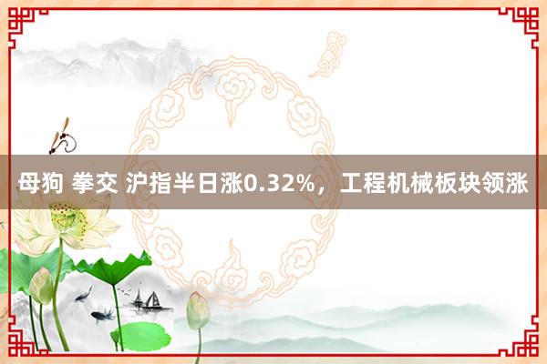 母狗 拳交 沪指半日涨0.32%，工程机械板块领涨