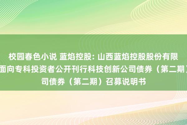 校园春色小说 蓝焰控股: 山西蓝焰控股股份有限公司2025年面向专科投资者公开刊行科技创新公司债券（第二期）召募说明书