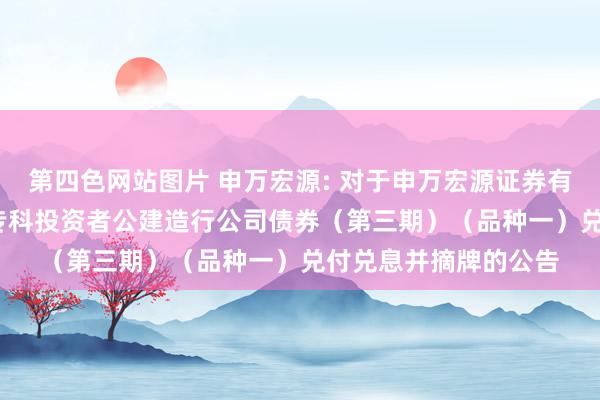 第四色网站图片 申万宏源: 对于申万宏源证券有限公司2022年面向专科投资者公建造行公司债券（第三期）（品种一）兑付兑息并摘牌的公告
