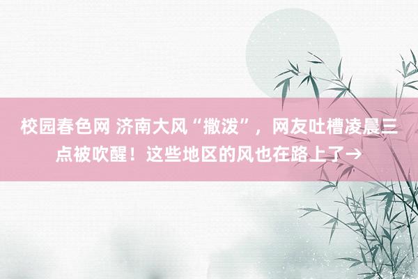 校园春色网 济南大风“撒泼”，网友吐槽凌晨三点被吹醒！这些地区的风也在路上了→