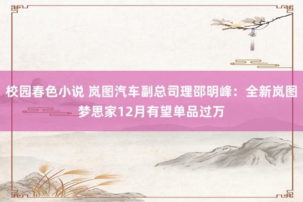 校园春色小说 岚图汽车副总司理邵明峰：全新岚图梦思家12月有望单品过万