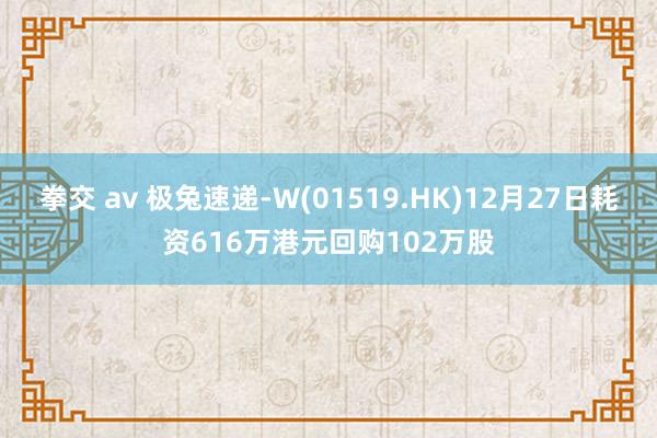 拳交 av 极兔速递-W(01519.HK)12月27日耗资616万港元回购102万股