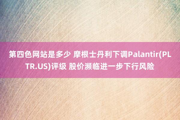 第四色网站是多少 摩根士丹利下调Palantir(PLTR.US)评级 股价濒临进一步下行风险