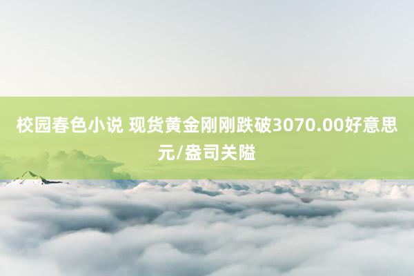 校园春色小说 现货黄金刚刚跌破3070.00好意思元/盎司关隘