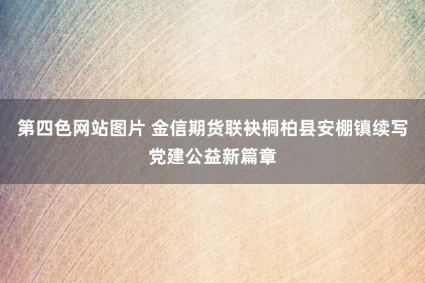 第四色网站图片 金信期货联袂桐柏县安棚镇续写党建公益新篇章