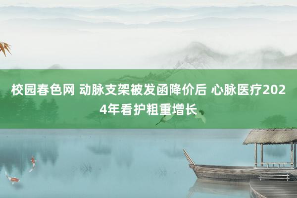 校园春色网 动脉支架被发函降价后 心脉医疗2024年看护粗重增长