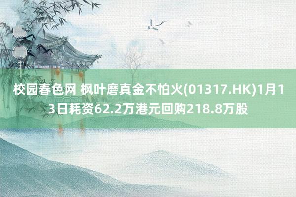 校园春色网 枫叶磨真金不怕火(01317.HK)1月13日耗资62.2万港元回购218.8万股