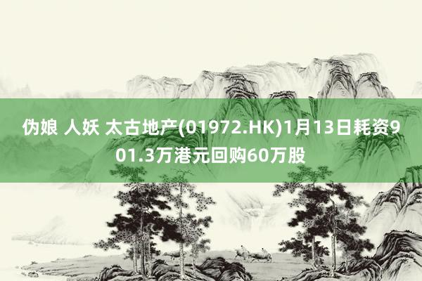 伪娘 人妖 太古地产(01972.HK)1月13日耗资901.3万港元回购60万股