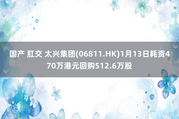 国产 肛交 太兴集团(06811.HK)1月13日耗资470万港元回购512.6万股