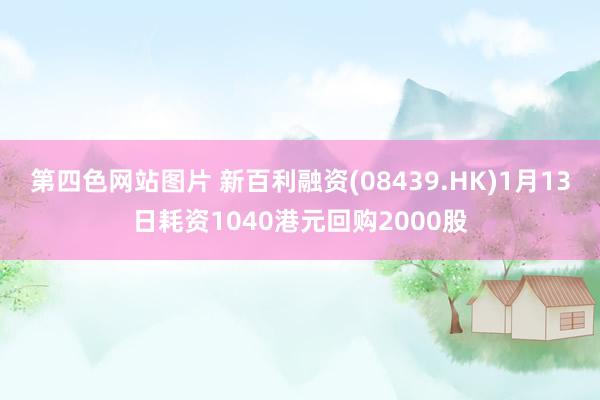 第四色网站图片 新百利融资(08439.HK)1月13日耗资1040港元回购2000股