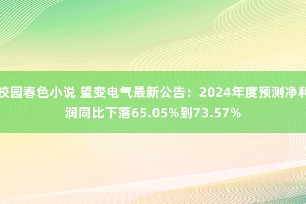 校园春色小说 望变电气最新公告：2024年度预测净利润同比下落65.05%到73.57%
