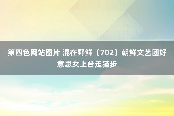 第四色网站图片 混在野鲜（702）朝鲜文艺团好意思女上台走猫步