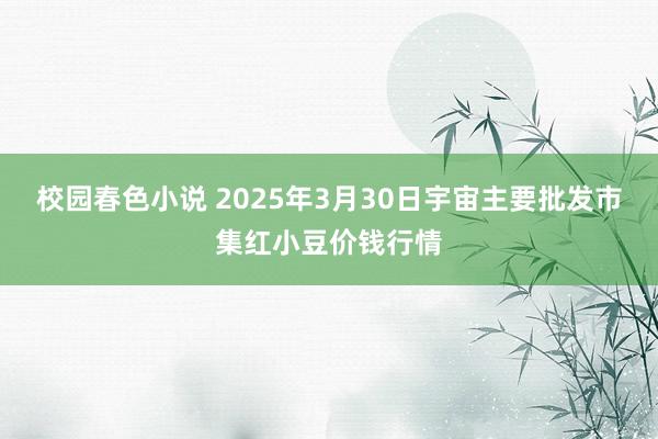 校园春色小说 2025年3月30日宇宙主要批发市集红小豆价钱行情