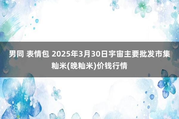 男同 表情包 2025年3月30日宇宙主要批发市集籼米(晚籼米)价钱行情