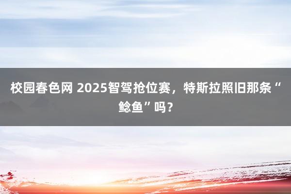 校园春色网 2025智驾抢位赛，特斯拉照旧那条“鲶鱼”吗？