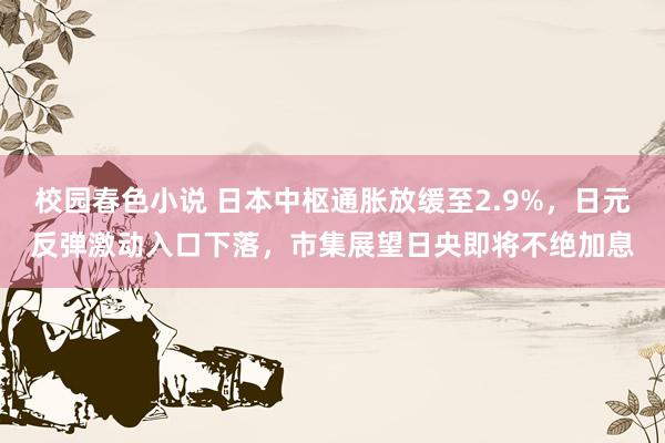 校园春色小说 日本中枢通胀放缓至2.9%，日元反弹激动入口下落，市集展望日央即将不绝加息
