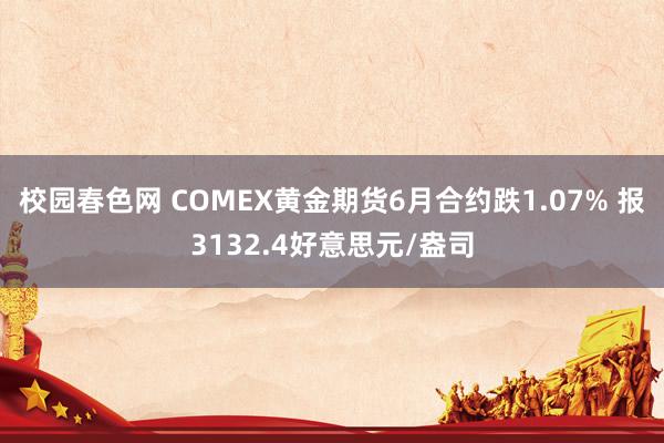 校园春色网 COMEX黄金期货6月合约跌1.07% 报3132.4好意思元/盎司