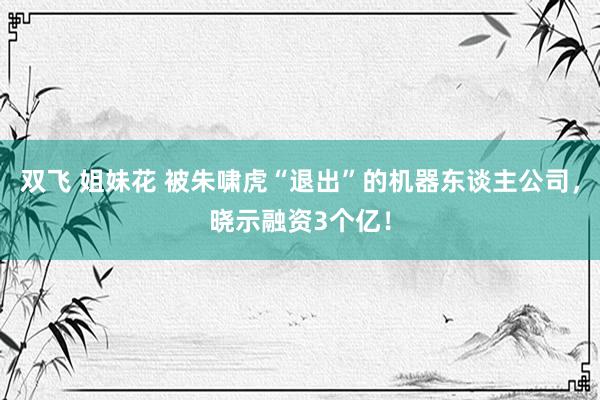 双飞 姐妹花 被朱啸虎“退出”的机器东谈主公司，晓示融资3个亿！