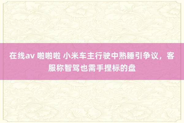 在线av 啪啪啦 小米车主行驶中熟睡引争议，客服称智驾也需手捏标的盘