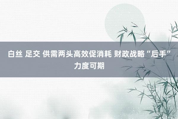 白丝 足交 供需两头高效促消耗 财政战略“后手”力度可期