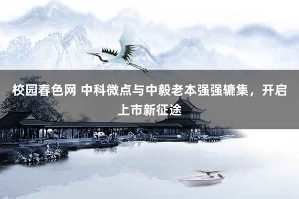 校园春色网 中科微点与中毅老本强强辘集，开启上市新征途