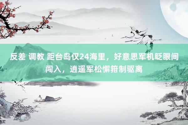 反差 调教 距台岛仅24海里，好意思军机眨眼间闯入，逍遥军松懈箝制驱离